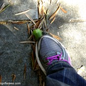 10,000 Steps A Day