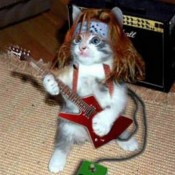 Dress Up Your Pet Day