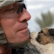 Soldiers Doggies and Kitties