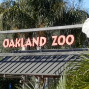 Zoo Trip, Oakland Zoo