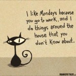 Mondays